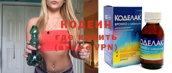 молекула духа Снежногорск