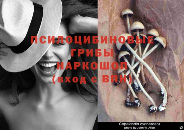 молекула духа Снежногорск