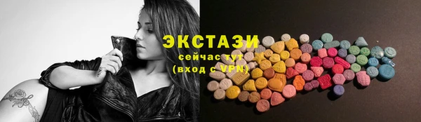 молекула духа Снежногорск
