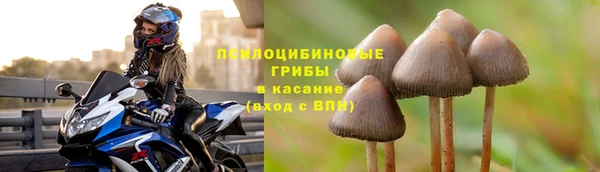 МДПВ Волоколамск
